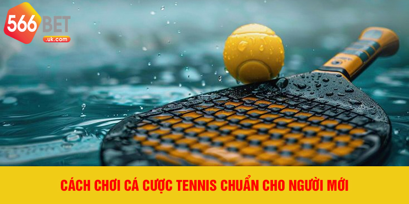 Cách chơi cá cược tennis chuẩn cho người mới