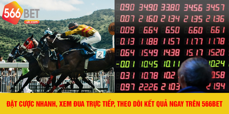 Đặt cược nhanh, xem đua trực tiếp, theo dõi kết quả ngay trên 566bet.