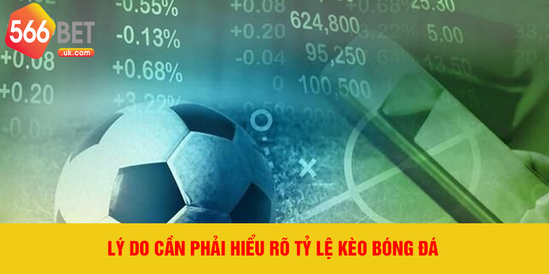 Lý do cần phải hiểu rõ tỷ lệ kèo bóng đá