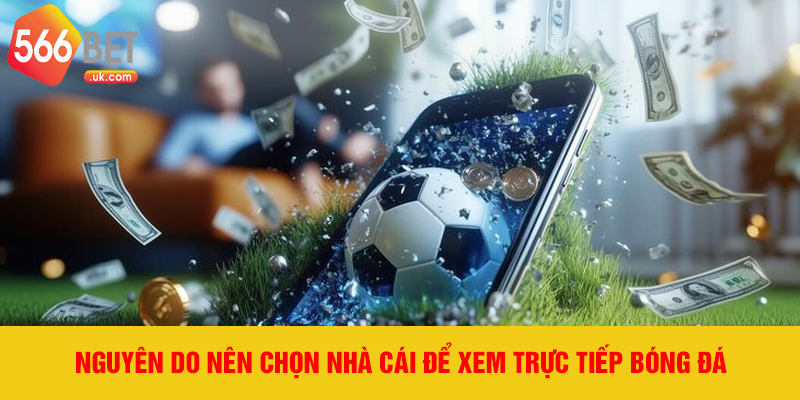 Nguyên do nên chọn nhà cái để xem trực tiếp bóng đá