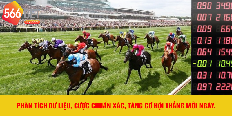 Phân tích dữ liệu, cược chuẩn xác, tăng cơ hội thắng mỗi ngày