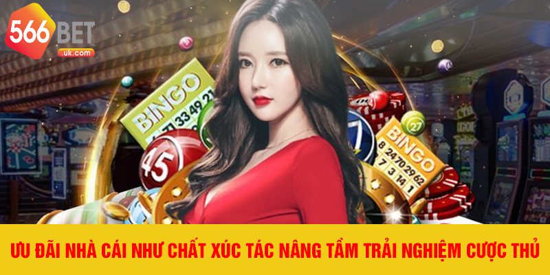 Ưu đãi nhà cái như chất xúc tác nâng tầm trải nghiệm cược thủ
