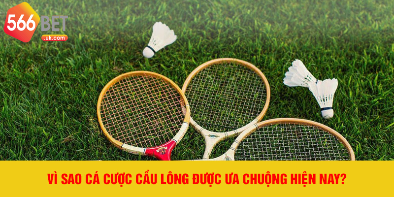 Vì sao cá cược cầu lông được ưa chuộng hiện nay?