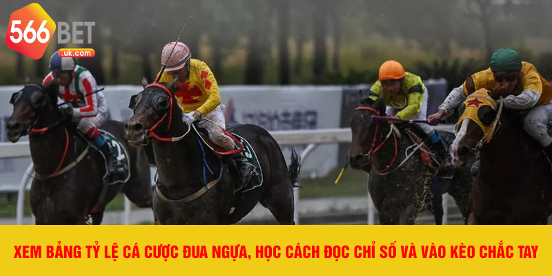 Xem bảng tỷ lệ cá cược đua ngựa, học cách đọc chỉ số và vào kèo chắc tay.